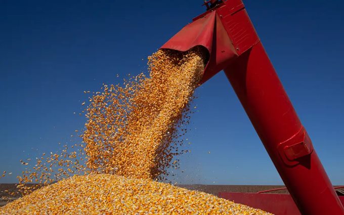 Imagem real da matéria de agronegócio publicada no Primeira Hora